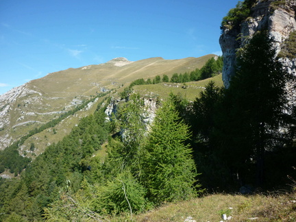 O640-05-100915-P1020395