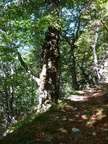 O640-08-100915-P1020396