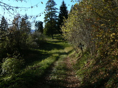 O642-ldp002-01-p1-cc-