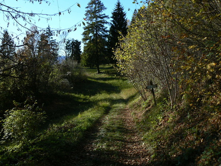 O642-ldp002-01-p1-cc-