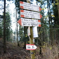 O643-dp010-01-d01-181112-ED