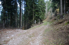 O643-dp010-01-p01-181112-ED