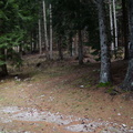 O643-dp010-02-p02-181112-ED