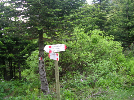 0643-ldp011-00-d2-070609