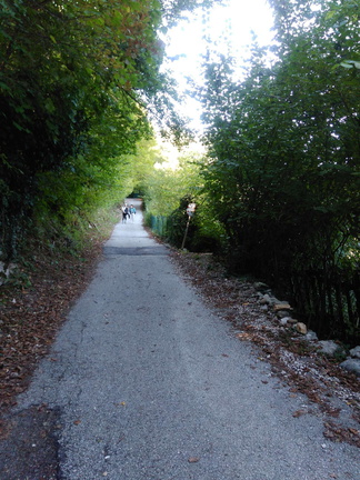 IMG-20170921-140742 (30 visite) IMG-20170921-140742