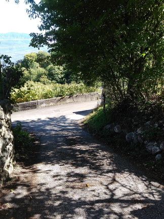 O645-ldp009-00-p3-170921-MCF-143651