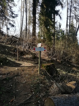 O645-ldp015-00-p01-150421-WP