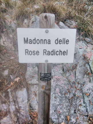 O648-ldp001-00-d01-181219-PG (85 visite) O648-ldp001-00-d01-181219-PG