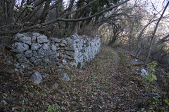 O648-02-111123-td-63