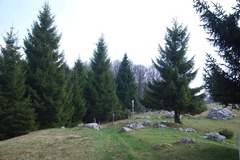 O650-ldp010-00-p02-170414-RB