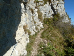 O650-04-131017-LB-0850