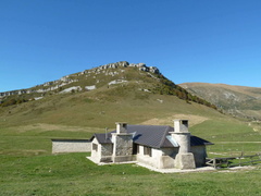 O650-08-131017-LB-0819