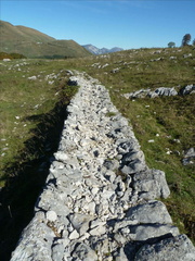 O650-17-131017-LB-0774