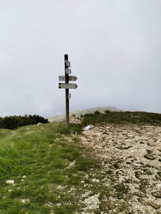 O651-ldp004-00-p02-29052024- (69 visite) O651-ldp004-00-p02-29052024-