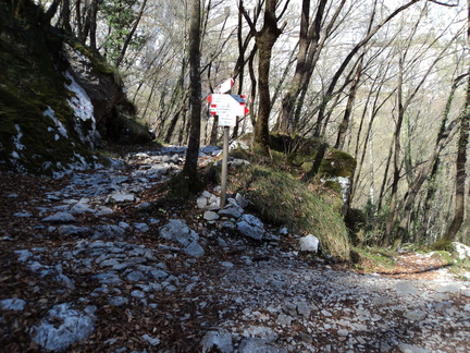 O652-ldp002-00-p1-170530-GM