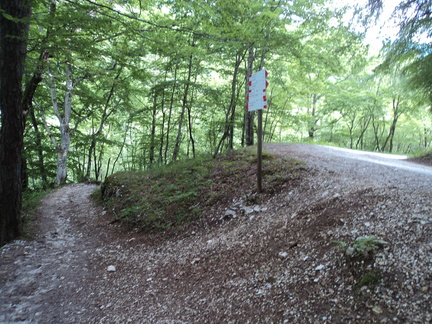 O652-ldp004-00-p2-170609-GM