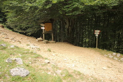 O652-ldp012-00-p1-170821-td-4517