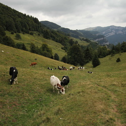 sentiero