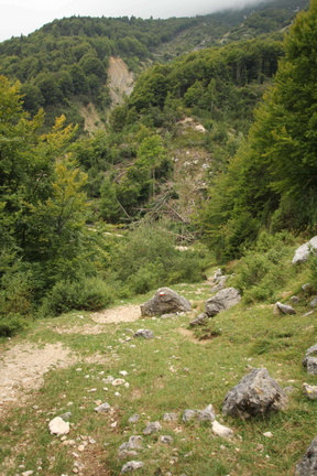 O652-170821-td-4518 (47 visite) O652-170821-td-4518