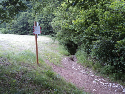 O653-ldp004-00-p1-170609-GM