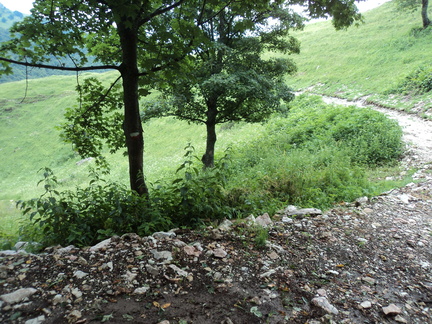 O653-170627-GM-05376