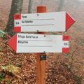 O654-ldp002-00-d01-241007-RB (274 visite) O654-ldp002-00-d01-241007-RB