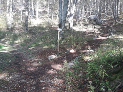 O654-ldp002-05-p01-241007-BR