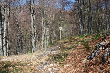 O654-ldp003-00-p1-170409-RB