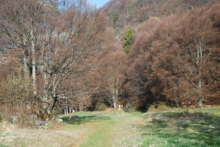 O654-ldp005-00-p2-170409-RB