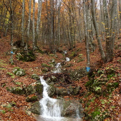 sentiero