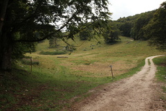 O661-ldp004-00-p1-170821-td-4594