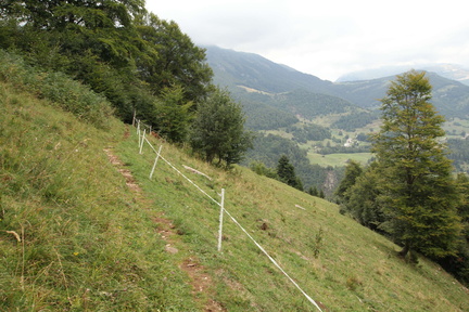 O661-170821-td-4541