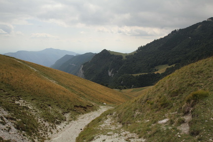 O661-170821-td-4547