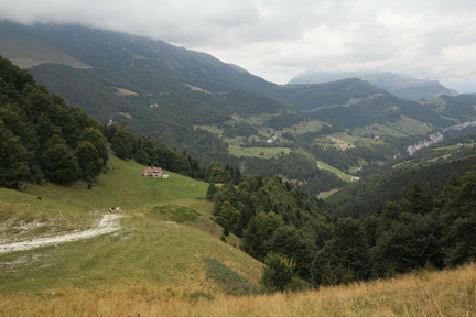 O661-170821-td-4550