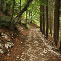 O661-170821-td-4554