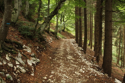 O661-170821-td-4554