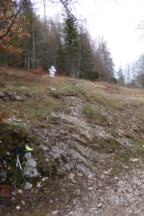 O666-ldp001-00-p03-160424-IC