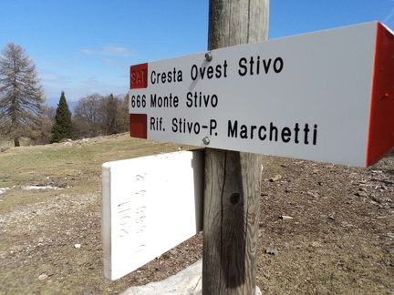 O666-ldp003-00-d01-170407