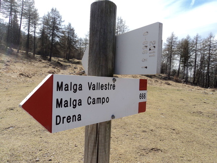 O666-ldp003-00-d02-170407