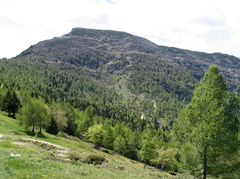 O666-070509-05-Monte-Stivo
