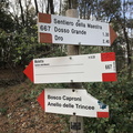 O667-ldp002-00-d01-240114-ED (224 visite) O667-ldp002-00-d01-240114-ED