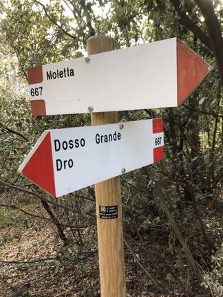O667-ldp004-00-d01-240114-ED (196 visite) O667-ldp004-00-d01-240114-ED
