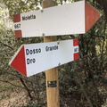 O667-ldp004-00-d01-240114-ED (196 visite) O667-ldp004-00-d01-240114-ED