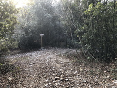 O667-ldp004-00-p01-240114-ED