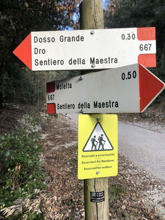 O667-ldp007-00-d01-240114-ED (149 visite) O667-ldp007-00-d01-240114-ED