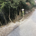 O667-ldp007-00-p01-240114-ED (149 visite) O667-ldp007-00-p01-240114-ED