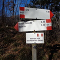 O667-ldp008-01-d01-240114-ED (199 visite) O667-ldp008-01-d01-240114-ED