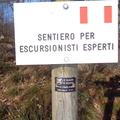 O667-ldp008-01-d02-240114-ED (151 visite) O667-ldp008-01-d02-240114-ED