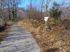 O667-ldp008-01-p01-240114-ED