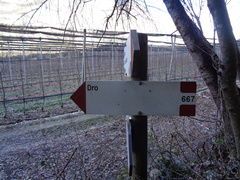 O667-ldp009-01-d02-240114-ED